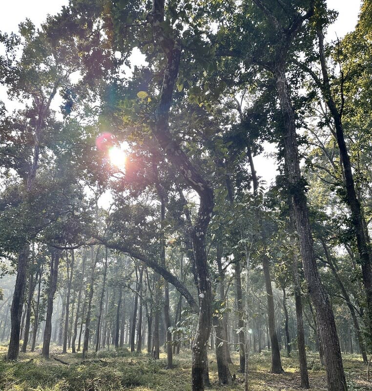 &#x005c0d;&#x0065bc;&#x00662f;&#x005426;&#x00653e;&#x009ad8;&#x006eab;&#x005047;&#x00ff0c;&#x0053f0;&#x007063;&#x006574;&#x005408;&#x009632;&#x00707d;&#x005de5;&#x007a0b;&#x006280;&#x008853;&#x009867;&#x00554f;&#x00516c;&#x0053f8;&#x007e3d;&#x0076e3;&#x008cc8;&#x0065b0;&#x008208;&#x008a8d;&#x0070ba;&#x00ff0c;&#x0053ef;&#x004ee5;&#x008003;&#x00616e;&#x007528;&#x008abf;&#x006574;&#x005de5;&#x006642;&#x007b49;&#x0065b9;&#x006cd5;&#x0056e0;&#x0061c9;&#x003002;&nbsp;&nbsp;&nbsp;&#x005716;&#x00ff1a;&#x006c11;&#x00773e;&#x00ff0f;&#x0063d0;&#x004f9b;