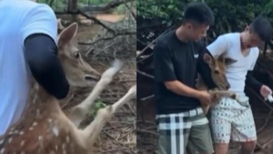 &#x004e00;&#x007fa4;&#x005e74;&#x008f15;&#x004eba;&#x005718;&#x005718;&#x00570d;&#x004f4f;&#x0091ce;&#x00751f;&#x006885;&#x0082b1;&#x009e7f;&#x003002;&#x00ff08;&#x005716;&#x00ff0f;&#x0053d6;&#x0081ea;&#x007206;&#x006599;&#x00516c;&#x00793e;&#x00ff09;